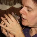 Zak
